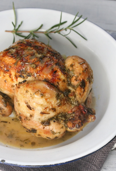 Chicken Baby Recipes
 baby chicken roasted in wine and herbs recipe