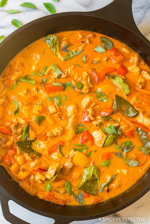 Chicken Curry Recipes Thai
 The Best Thai Panang Chicken Curry Video A Spicy
