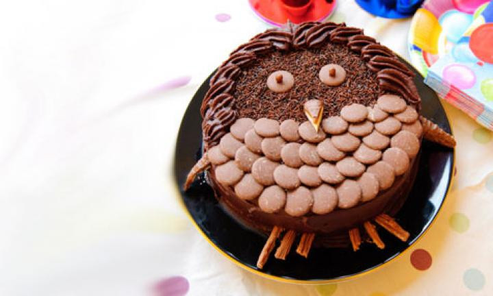 Chocolate Birthday Cakes Recipes For Kids
 Chocolate owl birthday cake recipe Kidspot