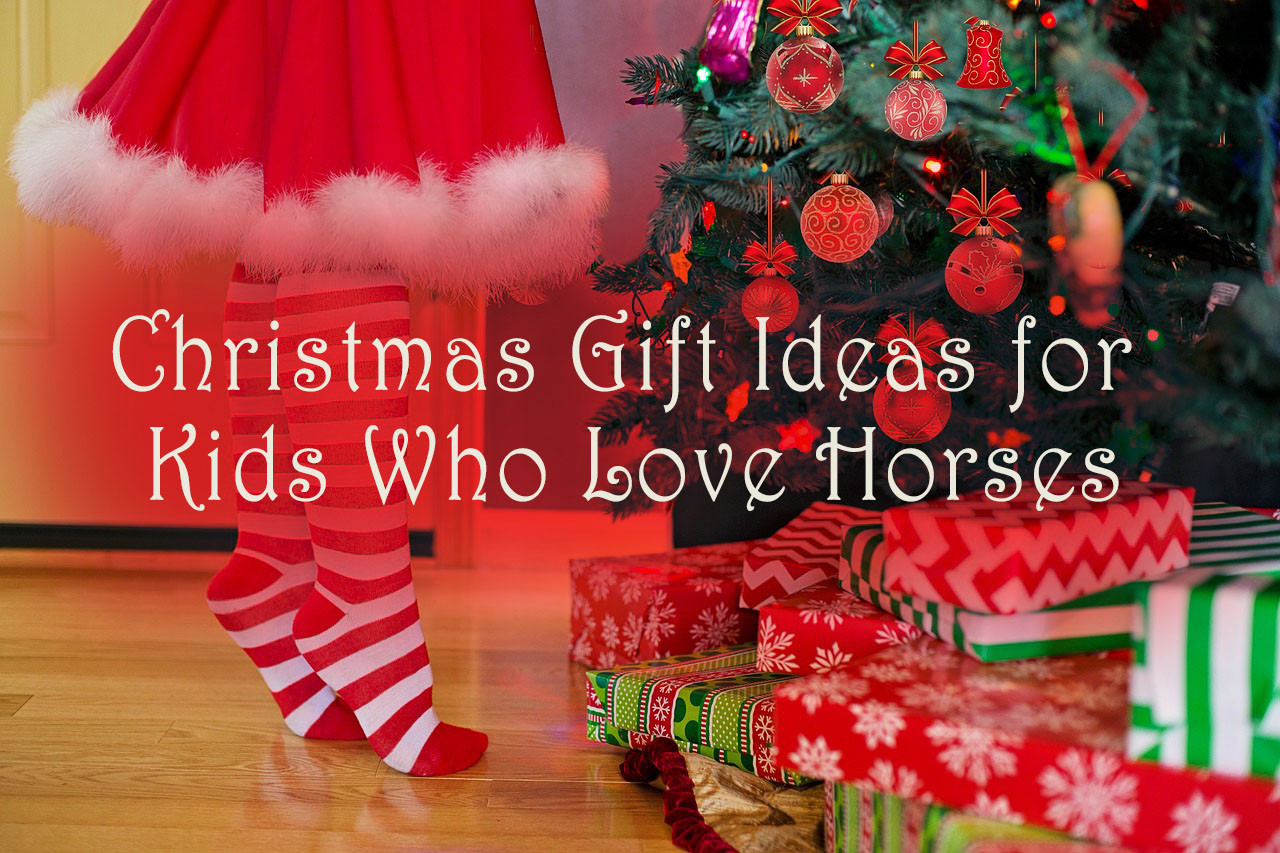 Christmas Gifts For Kids Who Have Everything
 Christmas Gift Ideas for Kids Who Love Horses