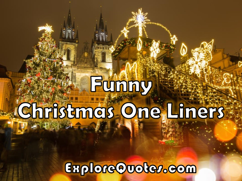 Christmas One Line Quotes
 Funny Christmas e Liners For WhatsApp