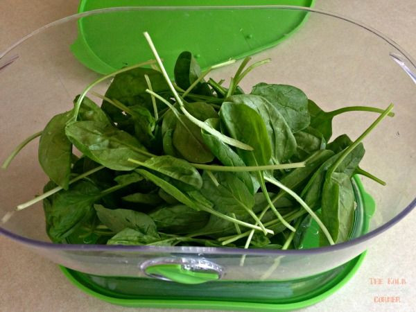 Clean Eating Corner
 Storing Spinach the Right Way The Kolb Corner