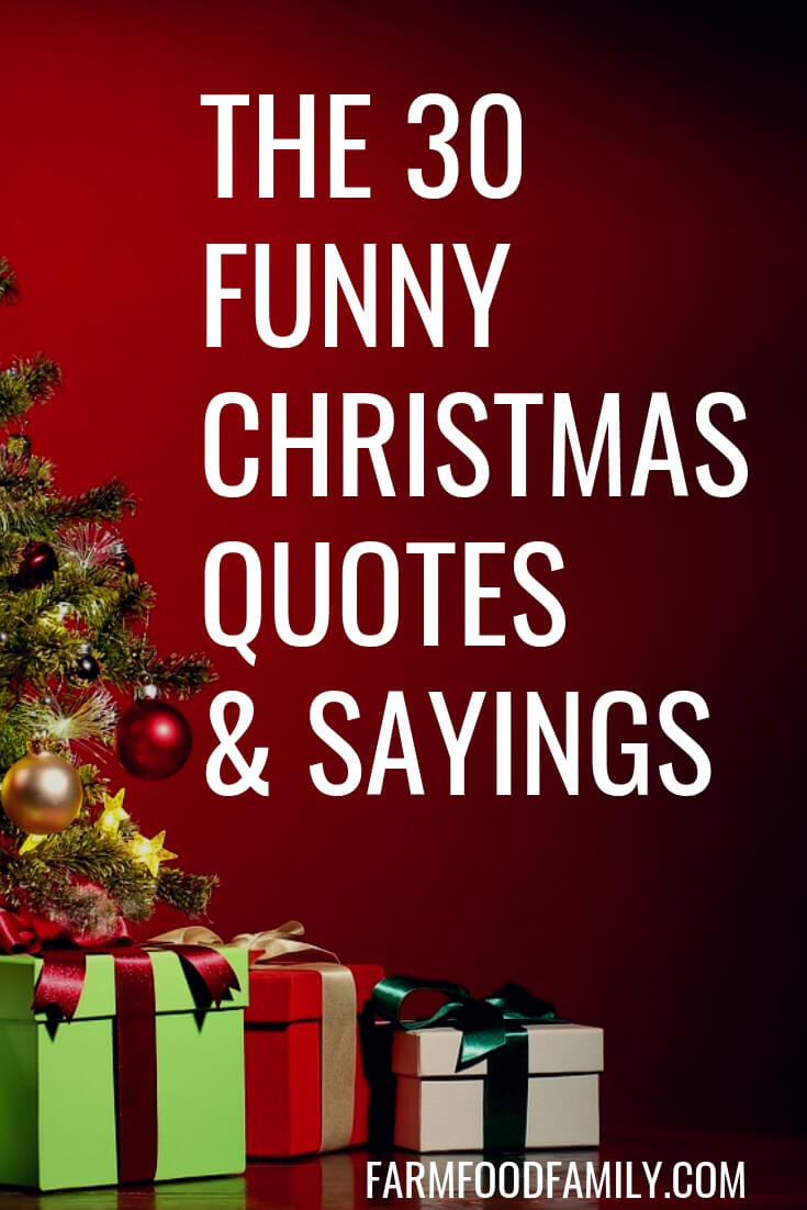 Clever Christmas Quotes
 30 Funny Christmas Quotes & Sayings That Make You Laugh