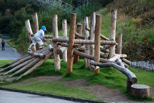 Climbing Structures For Backyard
 natural climbing structures Google Search