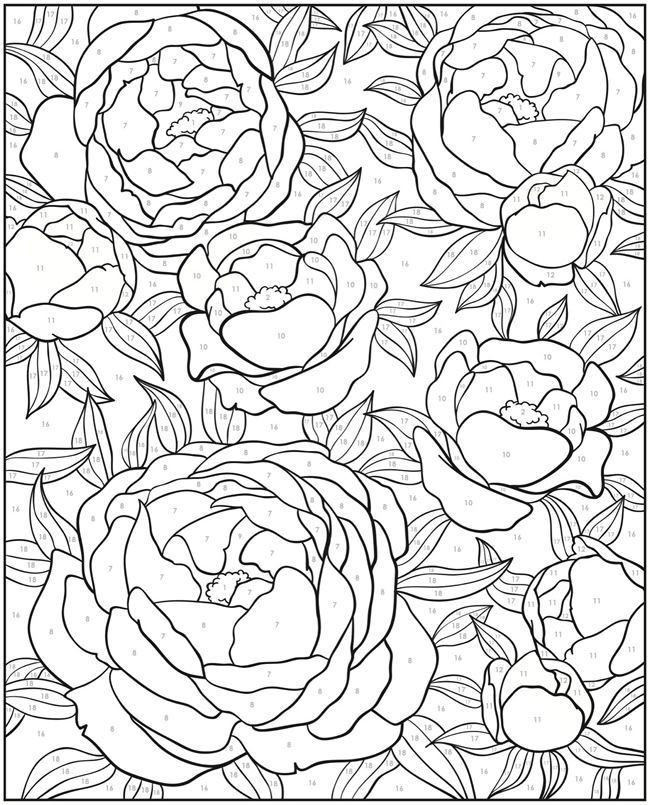 Color By Number Adult Coloring Books
 Wel e to Dover Publications Creative Haven Floral