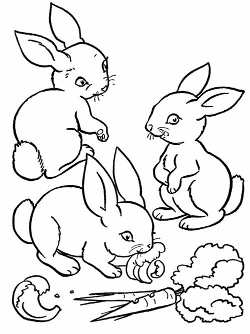 Coloring Animals For Kids
 Baby Farm Animals Coloring Pages For Kids Disney