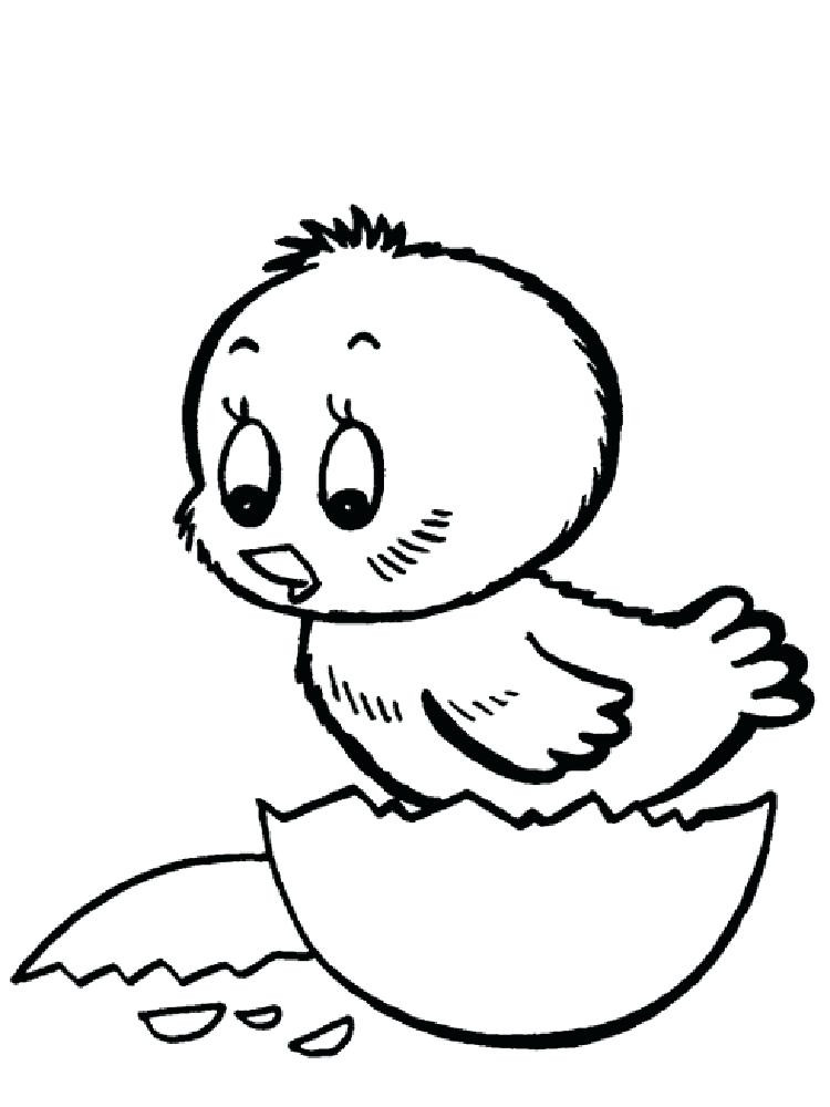 Coloring Baby Chickens
 Coloring Pages Baby Girl at GetColorings