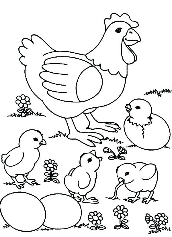 Coloring Baby Chickens
 Chicken Coloring Pages Best Coloring Pages For Kids