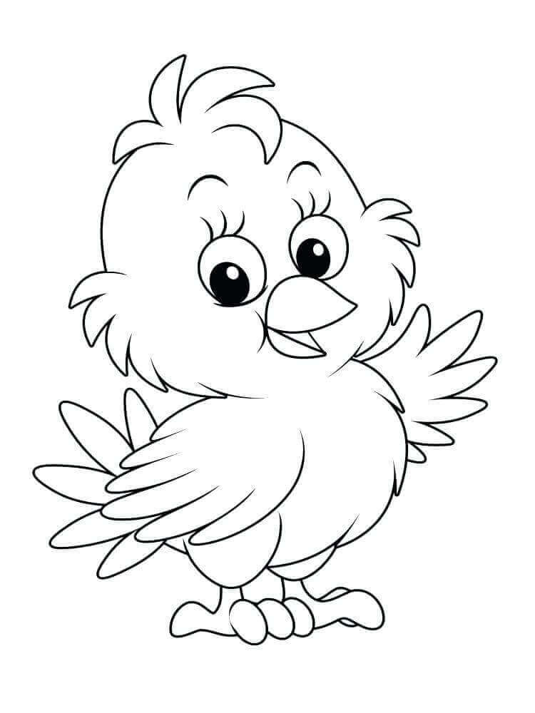 Coloring Baby Chickens
 20 Free Easter Chick Coloring Pages Printable