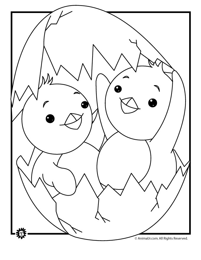 Coloring Baby Chickens
 Baby Chicks Coloring Page