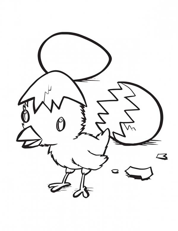 Coloring Baby Chickens
 Hatching Baby Chick Coloring Page Kids Play Color