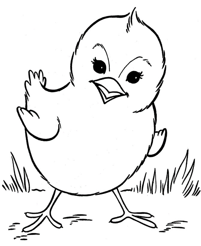 Coloring Baby Chickens
 printable chicken coloring pages for preschoolers