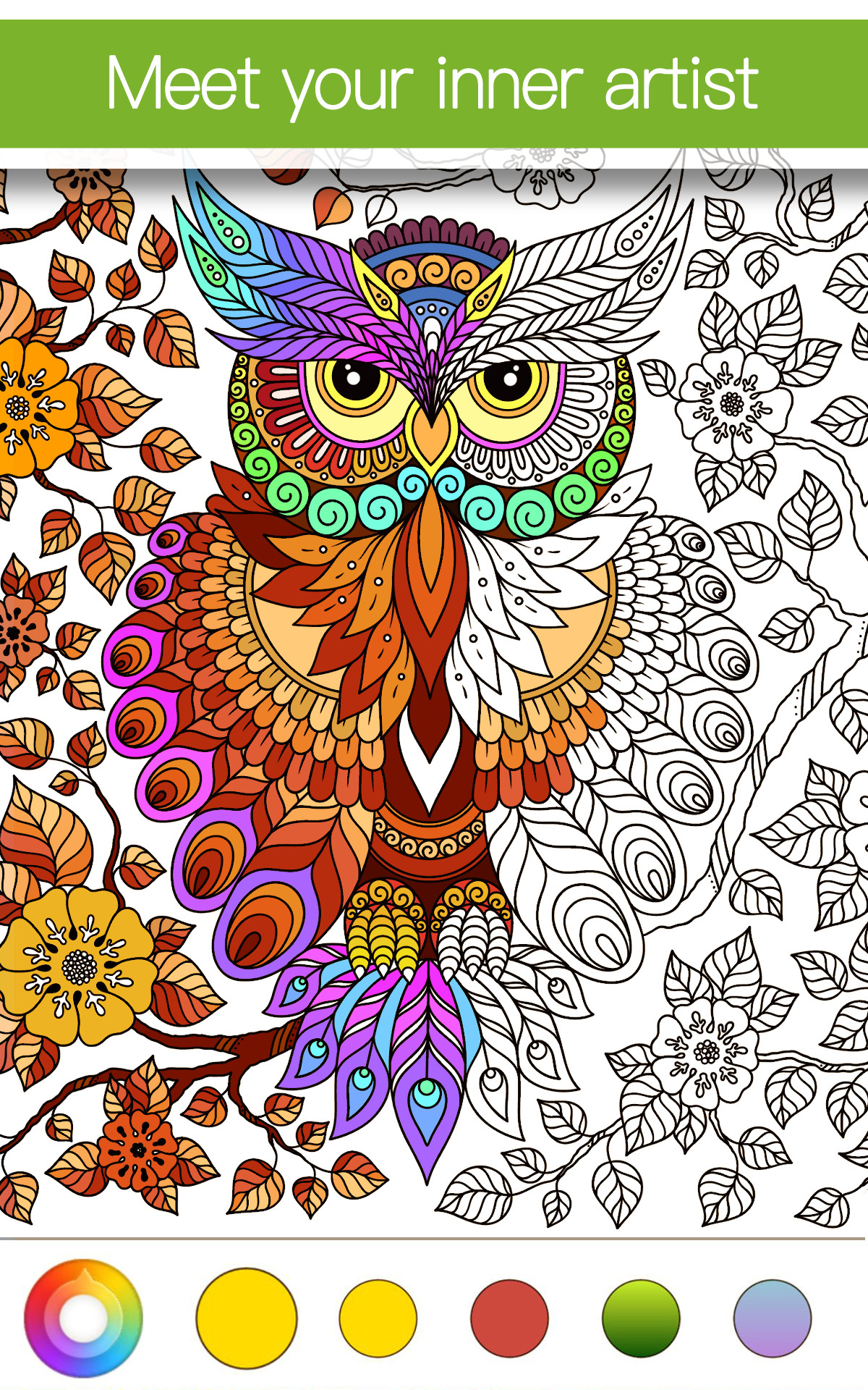 Coloring Book App For Adults Android
 Amazon Coloring Apps for Adults Premium Appstore for