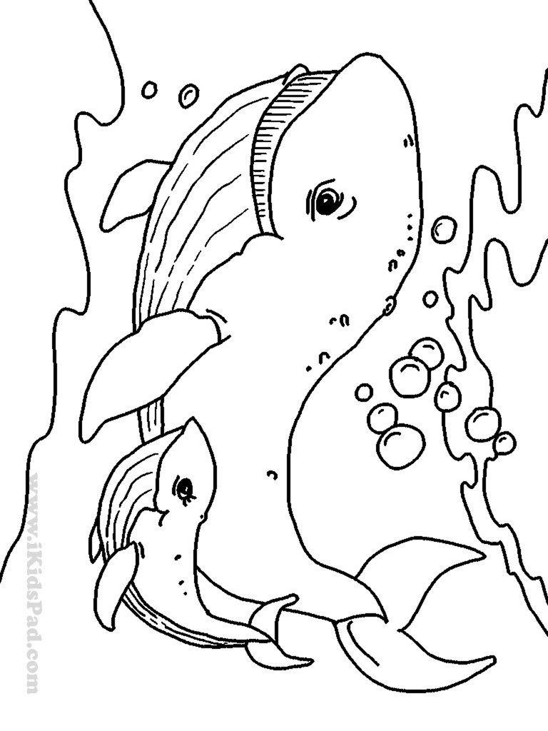 Coloring Book For Kids Animals
 Free Printable Coloring Pages Baby Animals Coloring Home