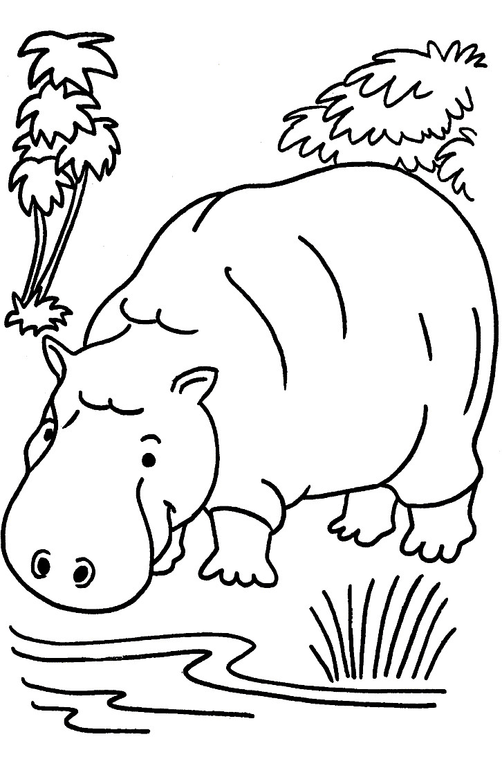 Coloring Book For Kids Animals
 Hipopótamo Desenhos Para Colorir