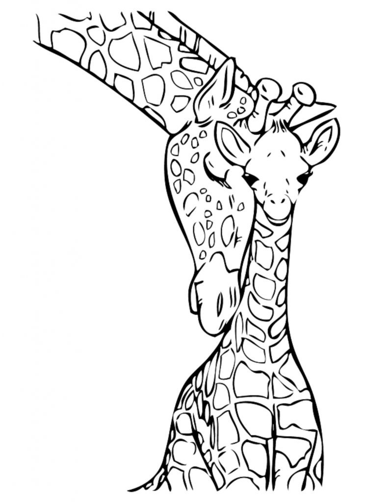 Coloring Books For Kids Free
 Jungle Coloring Pages Best Coloring Pages For Kids