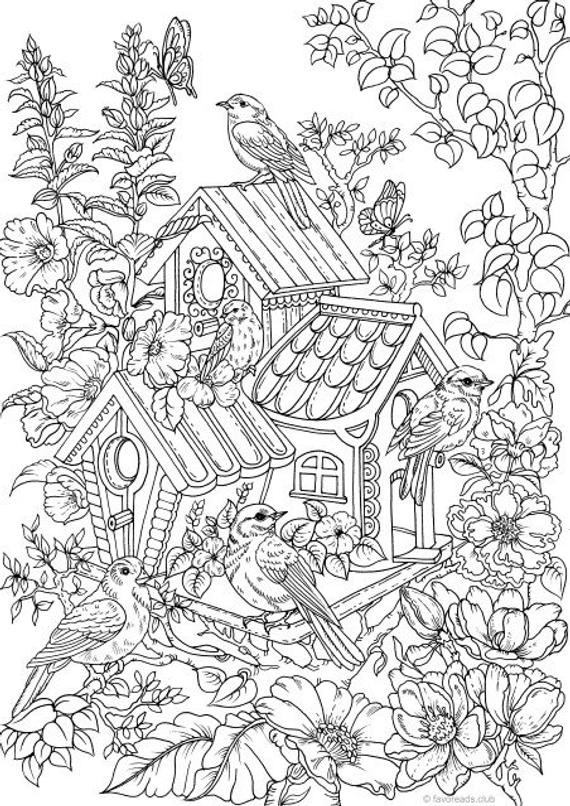 Coloring For Adults Book
 Birdhouse Printable Adult Coloring Page from Favoreads