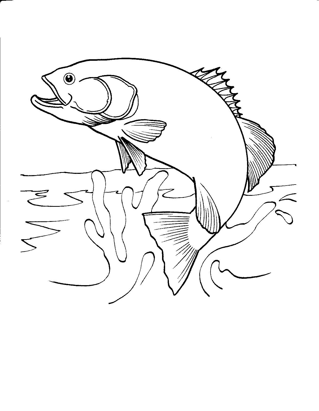 Coloring Pages Fish For Kids
 Printable Fish Coloring Pages