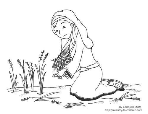 Coloring Pages For Children On The Story Of Ruth And Naomi
 here to this Ruth Coloring Page