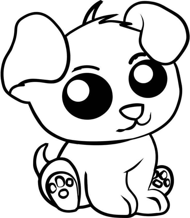 Coloring Pages For Girls Animals
 49 best super cute animal coloring pages images on
