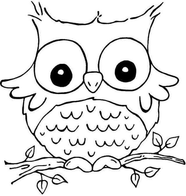 Coloring Pages For Girls Animals
 Cute Animal Eyes Drawing at GetDrawings