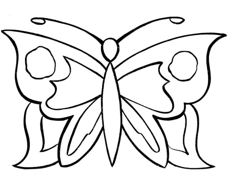 Coloring Pages For Girls Easy
 Free Pic Butterfly Simple In Black N White For
