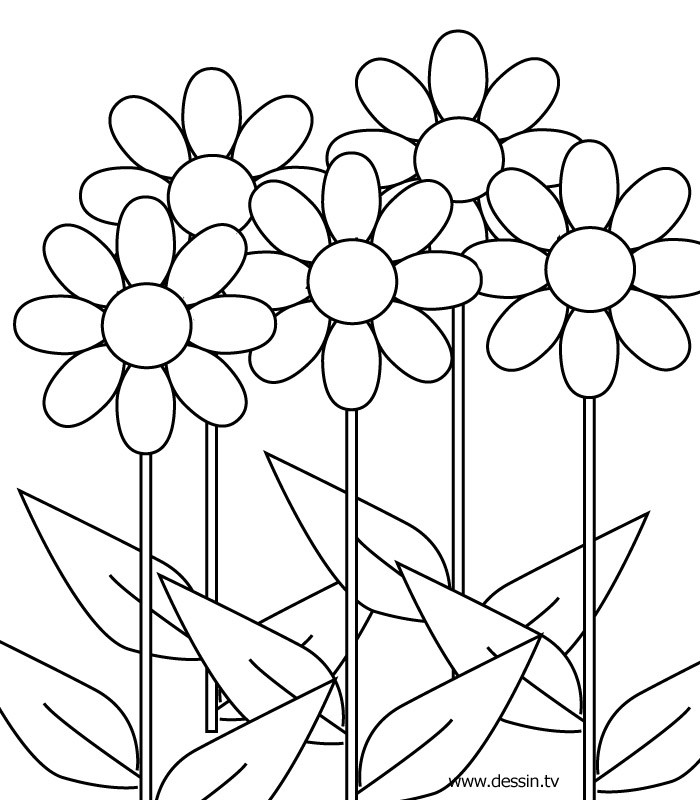 Coloring Pages For Girls Flowers
 Flower Coloring Pics Flower Coloring Page