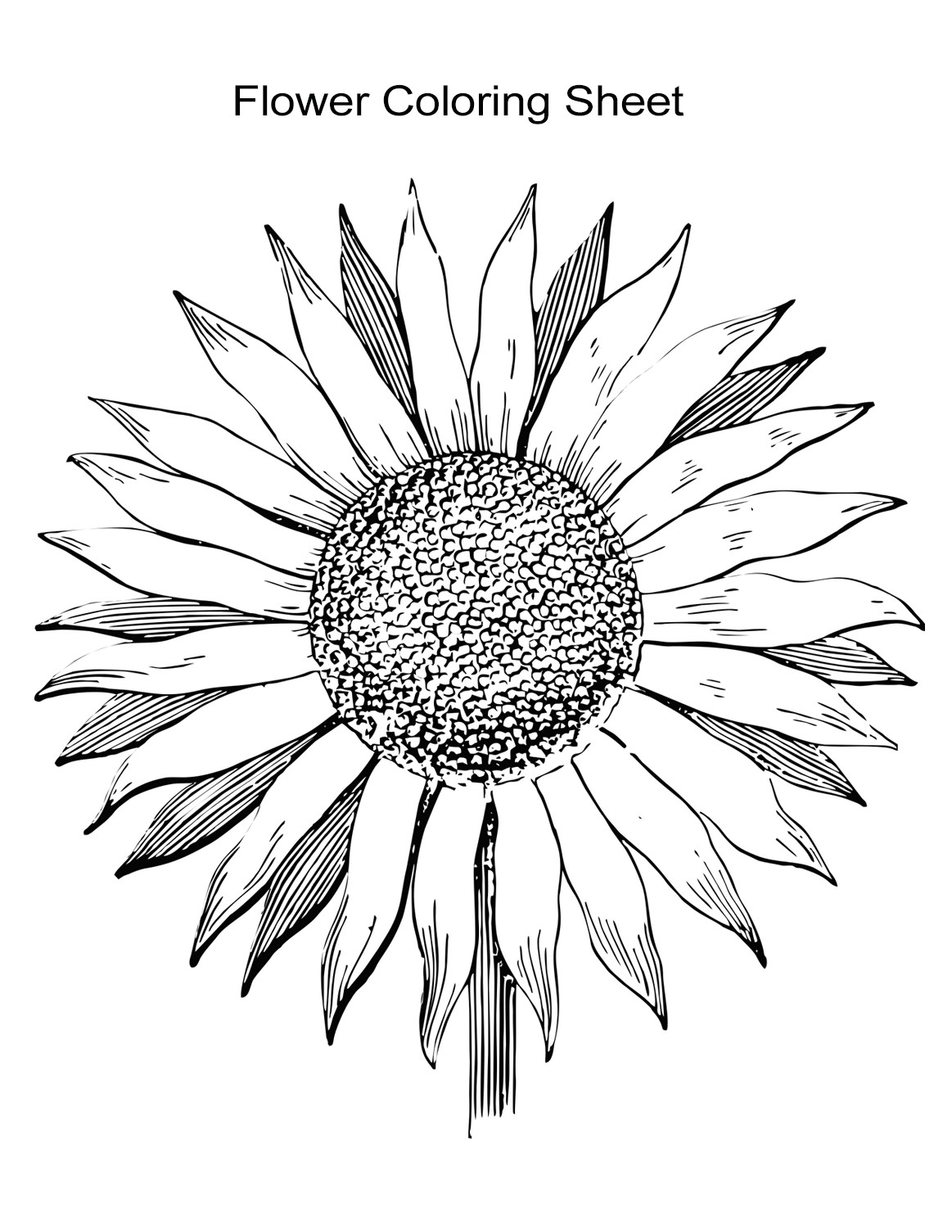 Coloring Pages For Girls Flowers
 10 Flower Coloring Sheets for Girls and Boys ALL ESL