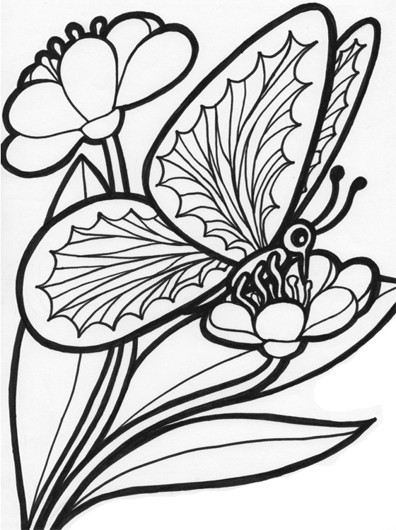Coloring Pages For Kids Butterflies
 Kids Page Butterfly Coloring Pages