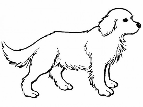 Coloring Pages For Kids Dogs
 Free Printable Dog Coloring Pages