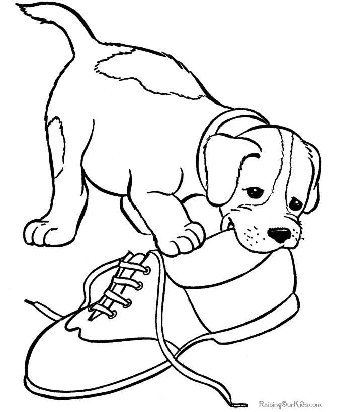 Coloring Pages For Kids Dogs
 Pin by 21st Essential Pet on Kids and Pets Coloring Pages