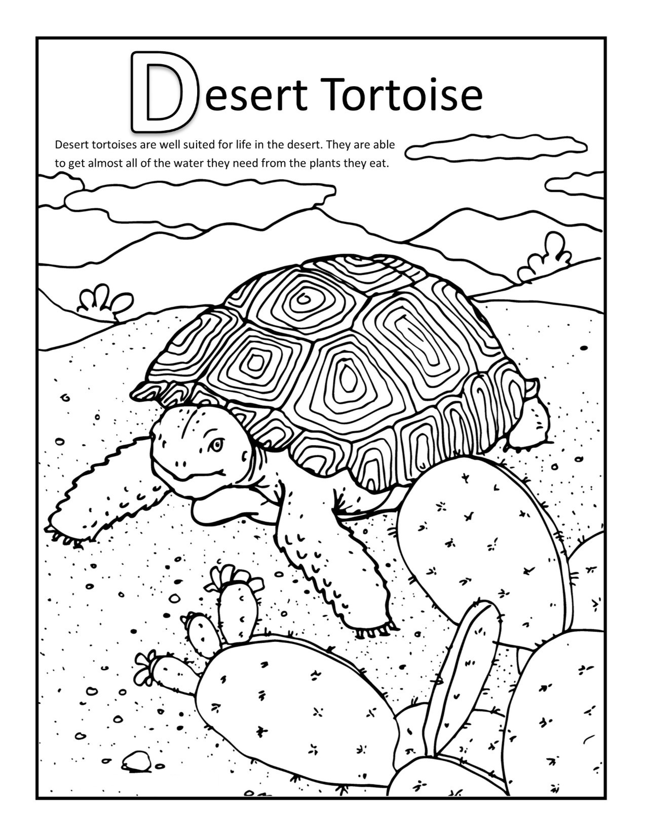 Coloring Pages For Kids For Free
 Desert Coloring Pages Best Coloring Pages For Kids