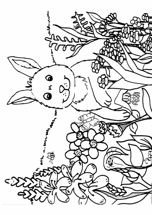 Coloring Pages For Kids Spring
 Spring Coloring Pages Best Coloring Pages For Kids