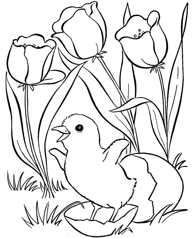 Coloring Pages For Kids Spring
 Spring Coloring Pages Best Coloring Pages For Kids