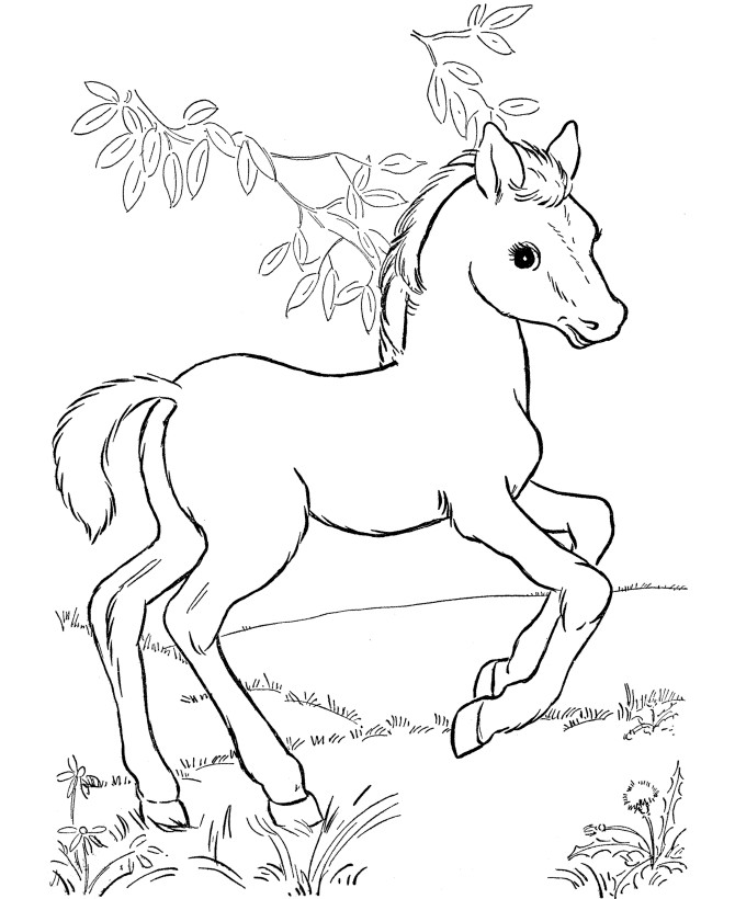 Coloring Pages For Toddlers
 Horse coloring pages for kids