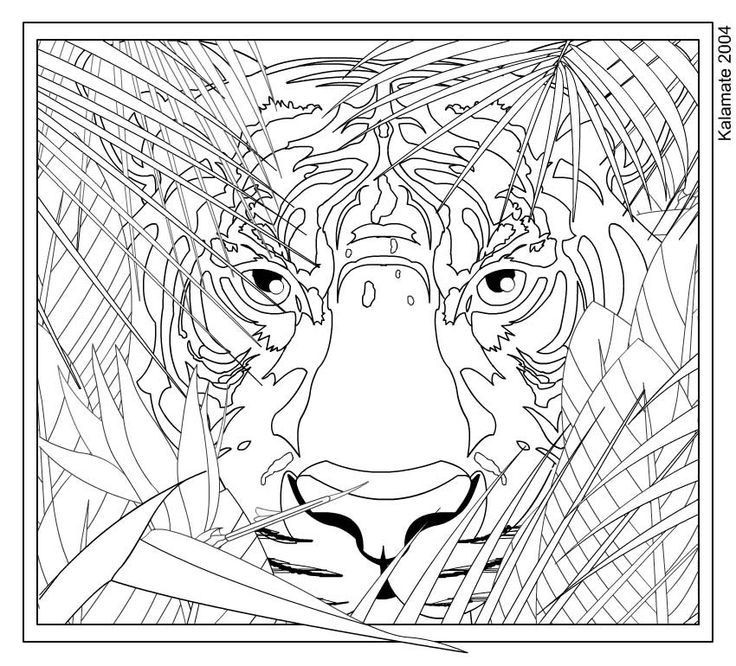 Coloring Pages Girls Hard
 Hard Coloring Pages Animals To Print Coloring Home