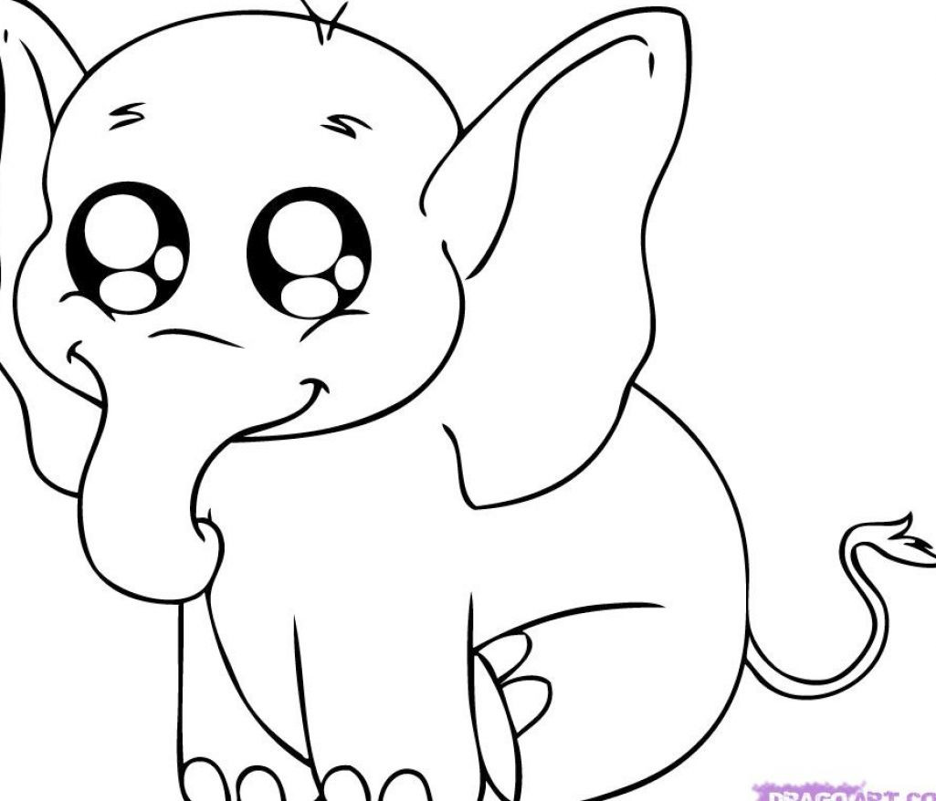 Coloring Pages Of Baby Animals
 Printable animal coloring pages 13 Sheets