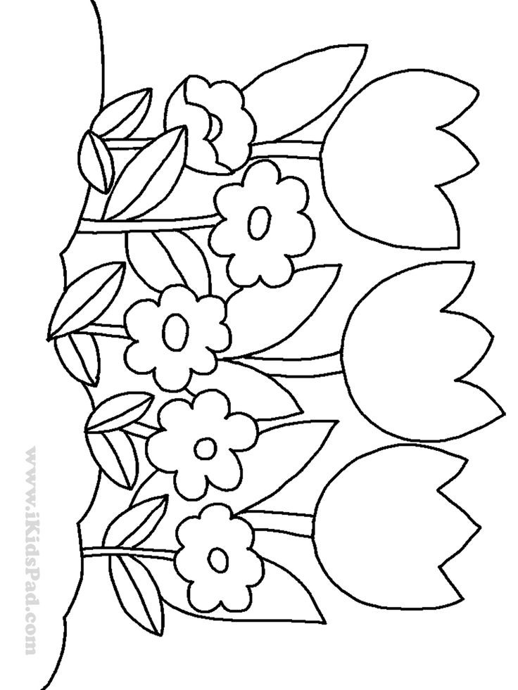 Coloring Pages Of Flowers For Kids
 row of tulip flowers coloring pages for kids