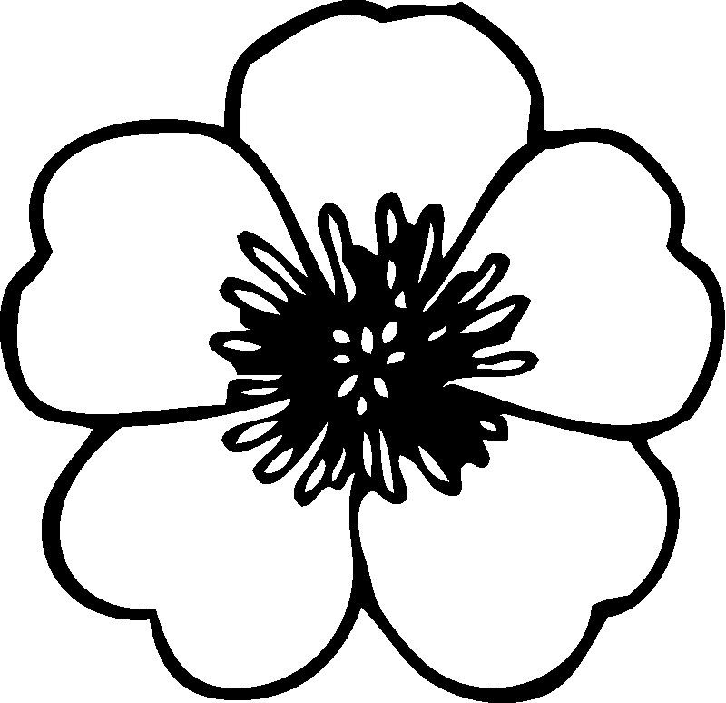 Coloring Pages Of Flowers For Kids
 Flower Coloring Pages For Kids