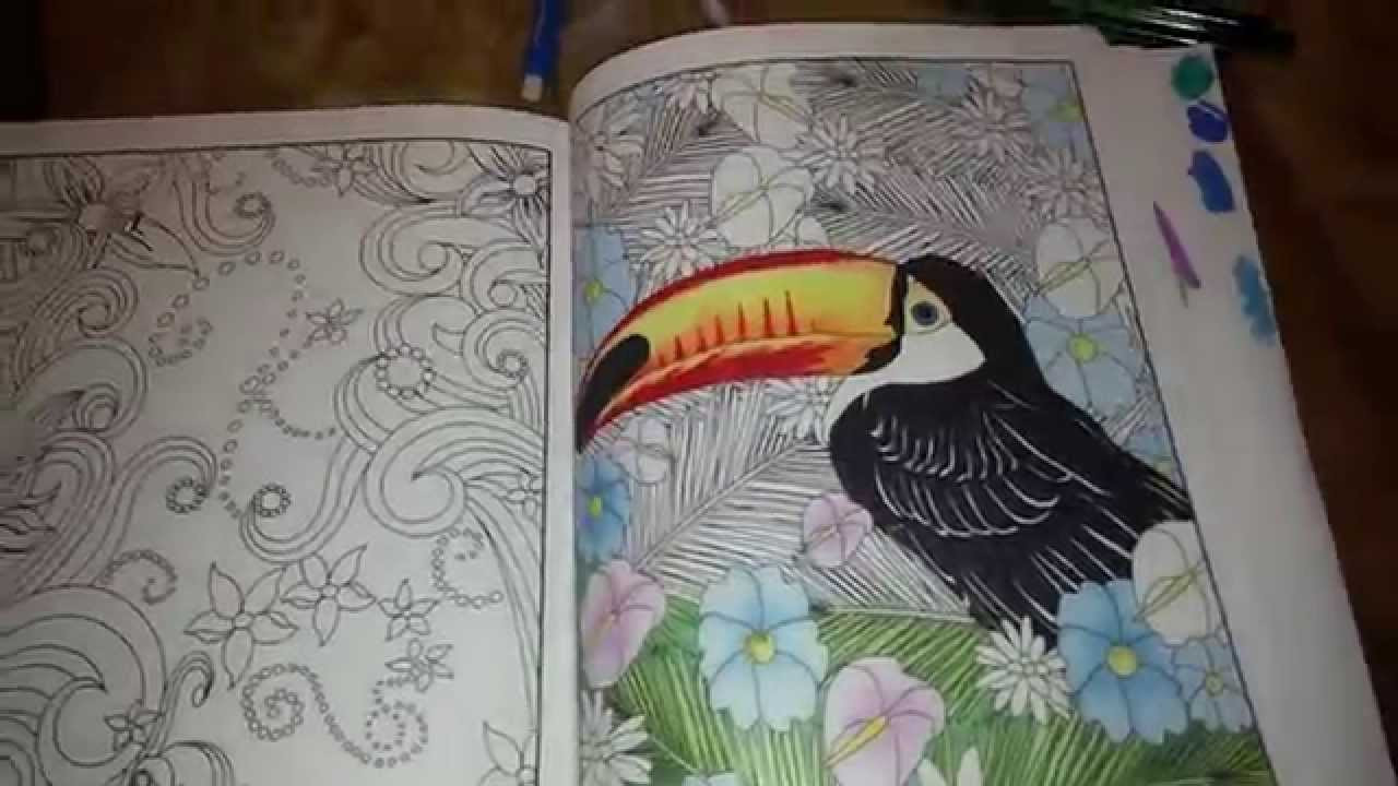 Coloring Pencils For Adult Coloring Books
 Adult Coloring Book pencils markers Review