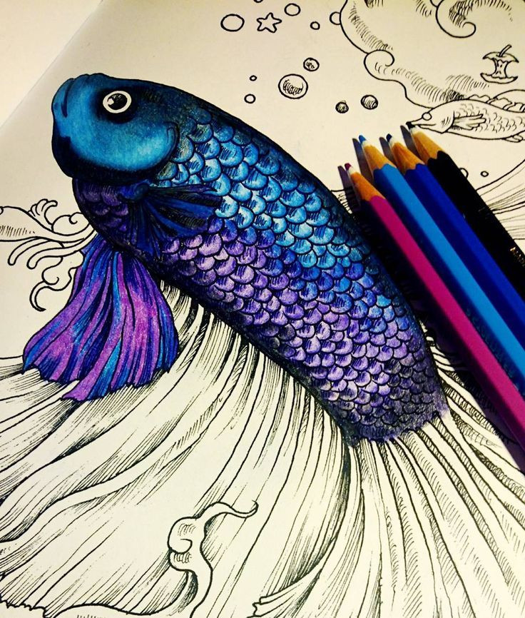 Coloring Pencils For Adult Coloring Books
 Pin by Creatively Calm Studios