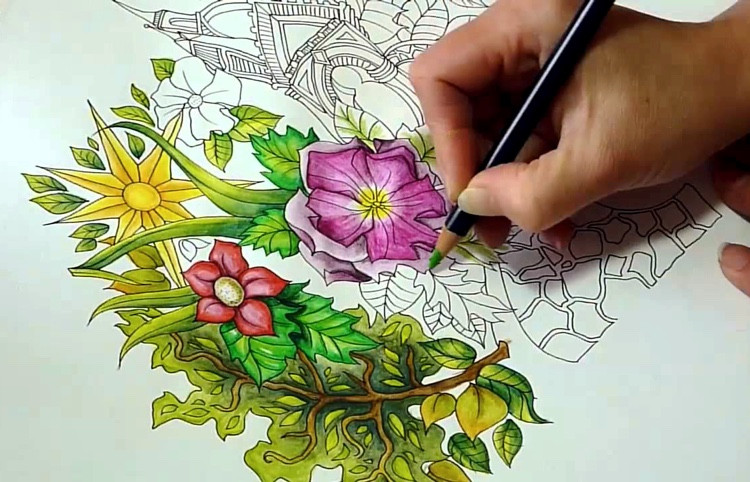 Coloring Pencils For Adult Coloring Books
 The Absolute Best Colored Pencils for Coloring Books