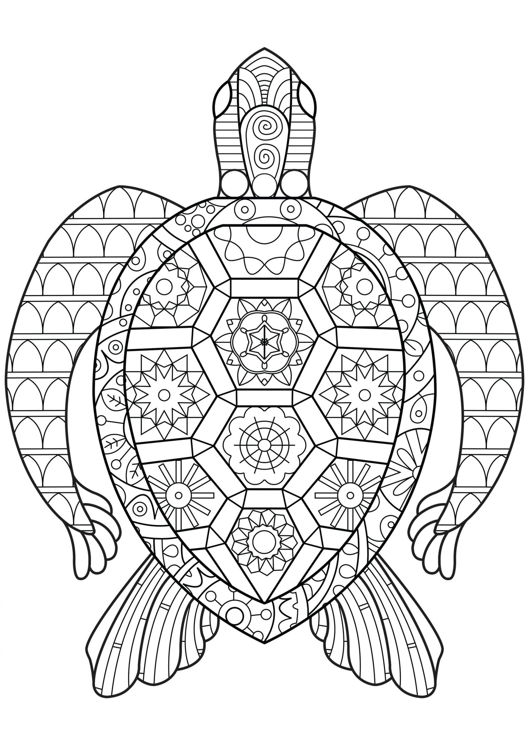 Coloring Sheet For Adults
 Zen Turtle Turtles Adult Coloring Pages