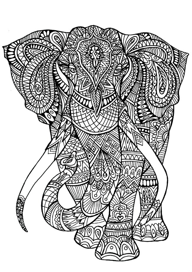 Coloring Sheet For Adults
 Printable Coloring Pages for Adults 15 Free Designs