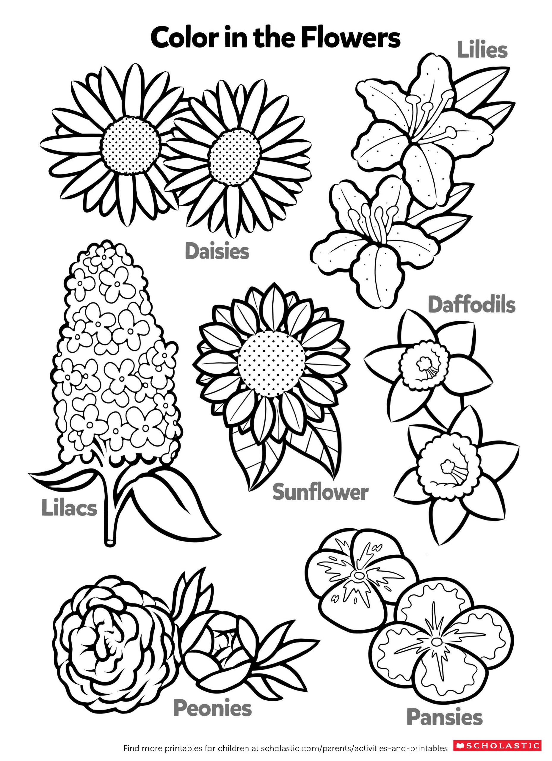 Coloring Worksheets For Kids
 Learn About Flowers By Coloring