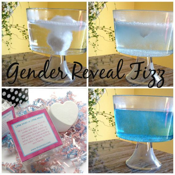 Cool Gender Reveal Party Ideas
 Waddle it Be Gender Reveal Rubber Duck Fizz