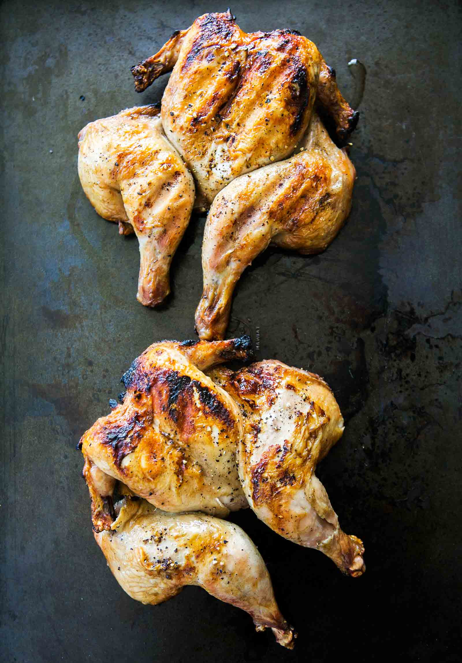 Cornish Hens On The Grill
 Grilled Cornish Game Hens Recipe
