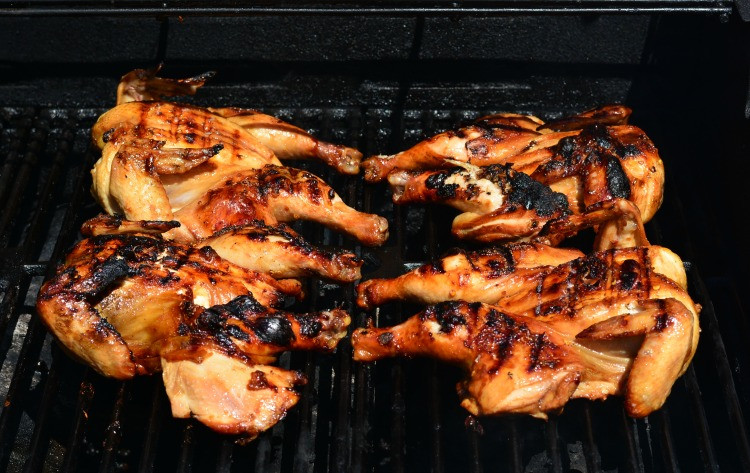 Cornish Hens On The Grill
 Grilled Cornish Hens with Sesame Chicken Marinade and