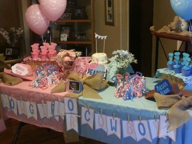 Country Gender Reveal Party Ideas
 Country gender reveal Party Ideas