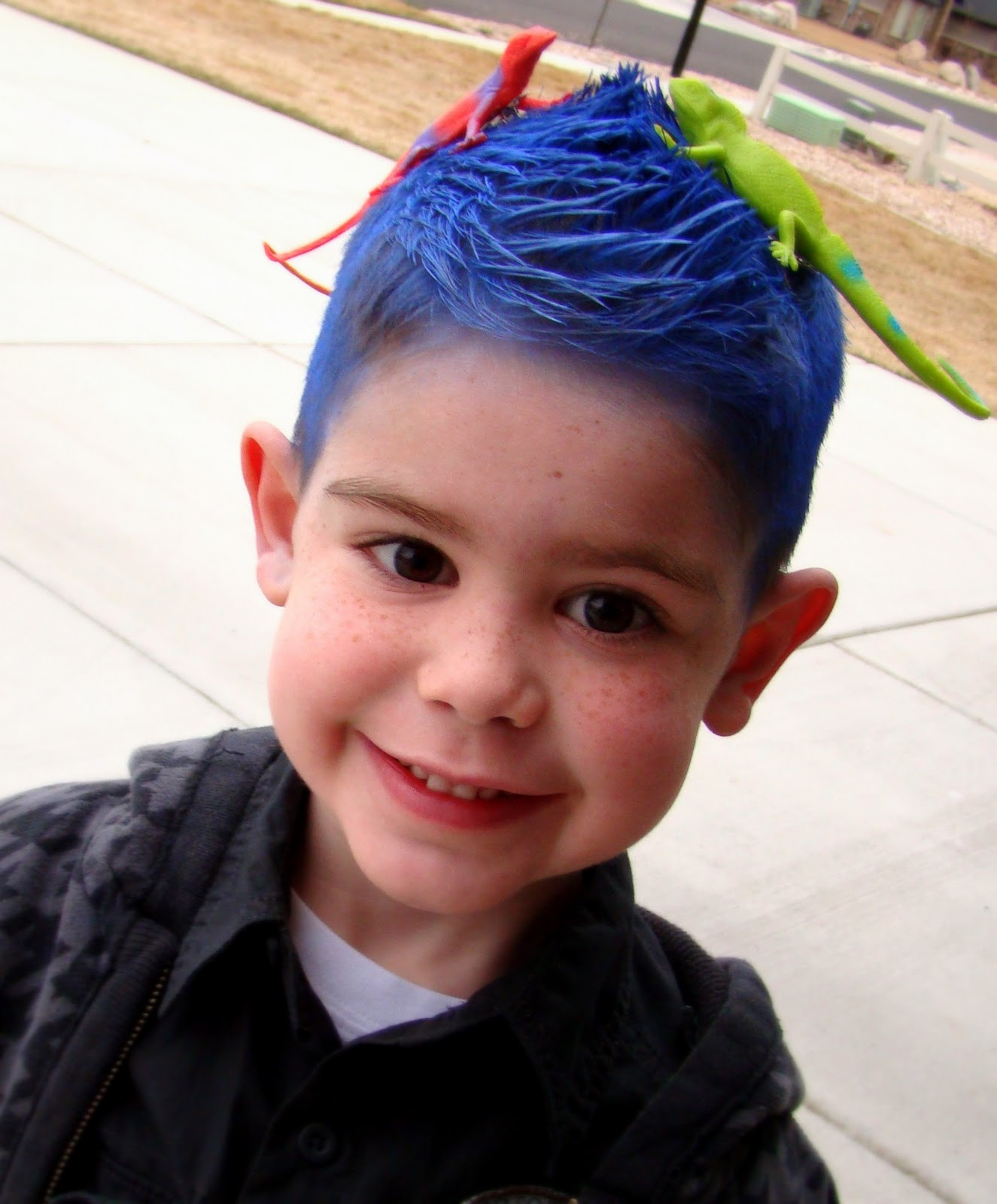 Crazy Hairstyles For Kids
 tHe fiCkLe piCkLe CraZy haIR DaY